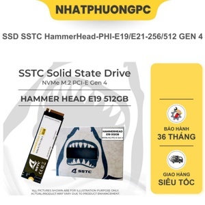 Ổ cứng SSD SSTC Phi E19 512GB