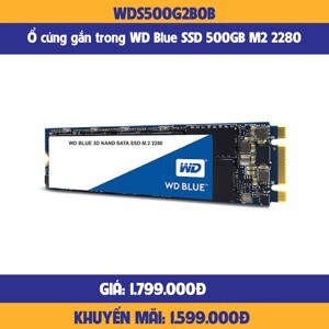 Ổ cứng SSD WD 500GB WDS500G2B0B (M2-2280)