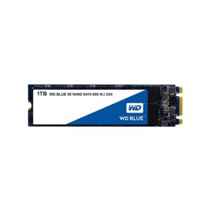 Ổ Cứng SSD WD Blue 1TB SATA M.2 2280 (WDS100T2B0B)