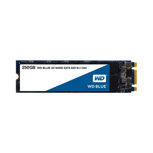 Ổ cứng SSD WD Blue 250GB M2-2280 WDS250G2B0B