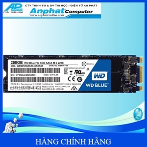 Ổ cứng SSD WD Blue 250GB M2-2280 WDS250G2B0B