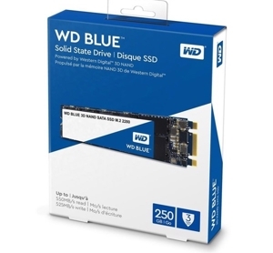 Ổ cứng SSD WD Blue SN570 250GB NVMe PCIe Gen3x4 WDS250G3B0C