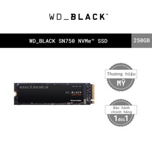 Ổ cứng SSD WD SN750 500GB