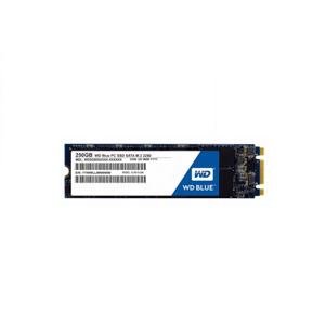 Ổ cứng SSD WD WDS250G1B0B M2-250GB