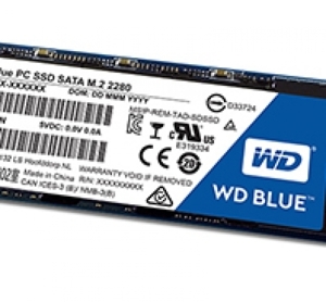 Ổ cứng SSD WD WDS250G3XOC 250Gb