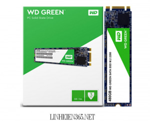 Ổ cứng SSD Western Digital Green 480GB M.2 2280