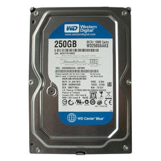 Ổ cứng HDD Western WD Caviar Blue 250GB 7200Rpm, SATA3 6Gb/s, 16MB Cache