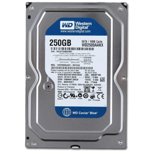 Ổ cứng HDD Western WD Caviar Blue 250GB 7200Rpm, SATA3 6Gb/s, 16MB Cache