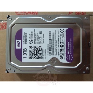 Ổ cứng Western Digital Purple - 1TB, 64MB Cache