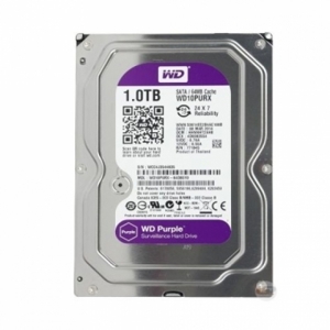 Ổ cứng Western Digital Purple - 1TB, 64MB Cache