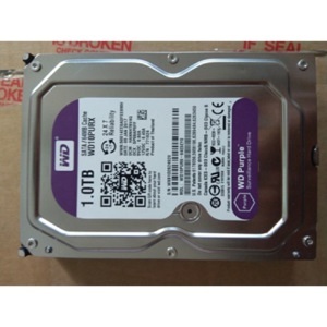 Ổ cứng Western Digital Purple - 1TB, 64MB Cache