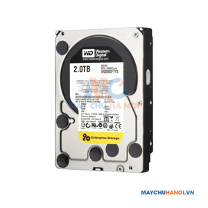 Ổ cứng Western Digital RE 2TB WD2000FYYZ