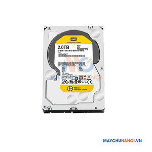 Ổ cứng Western Digital WD2000F9YZ Class WD Se 2TB