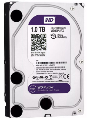 Ổ cứng Western Purple WD10PURZ - 1TB