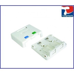 Ổ mạng nổi 2 port DINTEK – Surface mount box 1301-02013