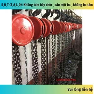 Palang kéo tay HSZ 5T-3M