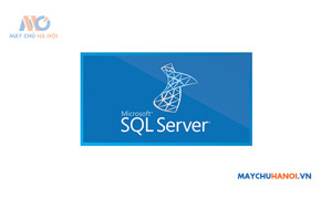 Phần mềm SQL Server DeviceCal 2019 359-06866