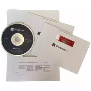 Phần mềm Windows 11 Pro 64-bit OEM (FQC-10528 Win Pro 11 x64 Eng Intl 1pk DSP OEI DVD)