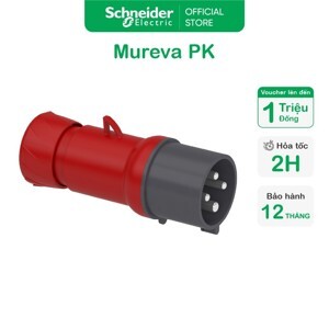 Phích cắm di động Schneider IP67 PKE32M735