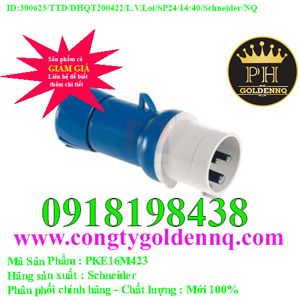 Phích cắm di động Schneider IP44 PKE16M423