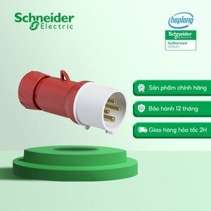 Phích cắm di động Schneider IP44 PKE16M434