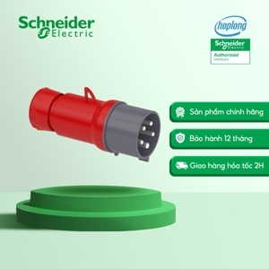 Phích cắm di động Schneider IP44 PKE32M435