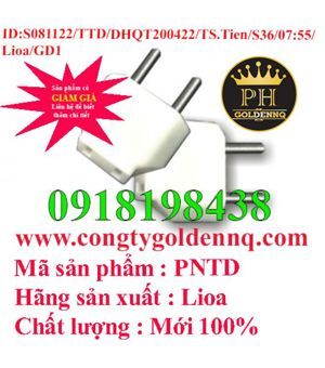 Phích cắm Lioa nối tròn sang phích dẹt PNTD