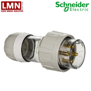 Phích cắm Schneider S56P432GY