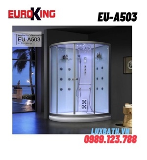 Phòng xông hơi Euroking EU-A503