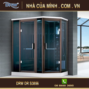 Phòng xông hơi khô Darowin DR-S3856