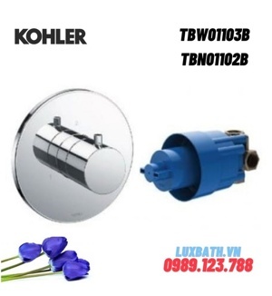 Phụ kiện âm tường Toto TBN01102B