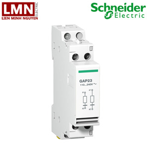 Phụ kiện cho contactor Tesys Schneider GAP23