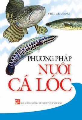 Phương pháp nuôi cá lóc