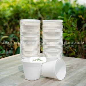 Phương pháp trồng 100 loài hoa trong chậu