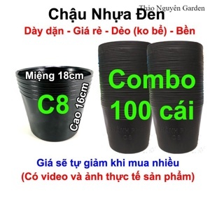Phương pháp trồng 100 loài hoa trong chậu