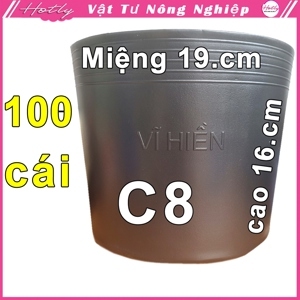 Phương pháp trồng 100 loài hoa trong chậu