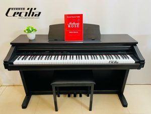 Đàn Piano Điện Kawai PW 700 (PW700) - hàng cũ