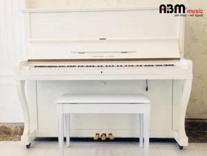 Đàn Piano Fukuyama & Sons