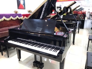 Đàn Piano Fukuyama & Sons