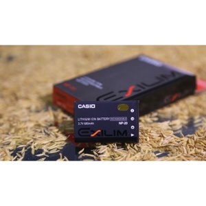 Pin Casio NP-20