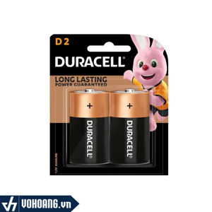 Pin đại D Alkaline DURACELL MN1300/B2