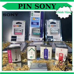 Pin máy ảnh Sony NP-FT1