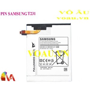 Pin Samsung Galaxy T231
