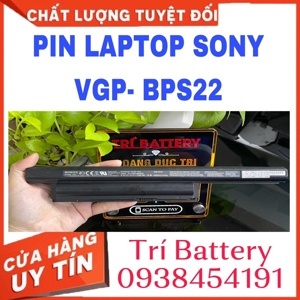 Pin Sony BPS 22