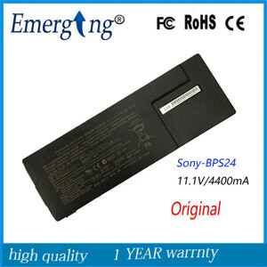 Pin Sony BPS24