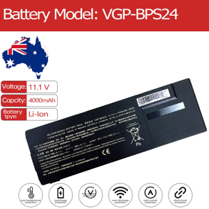Pin Sony BPS24