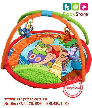 Thảm chơi vận động 3D Playgro 110495