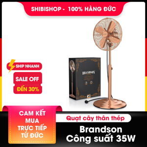 Quạt cây thân thép Brandson