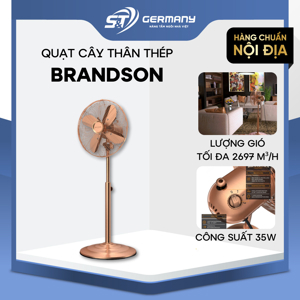 Quạt cây thân thép Brandson