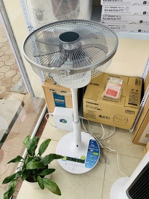 Quạt điện Sharp PJ-L3DS